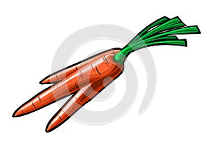 Carrot handmade animation
