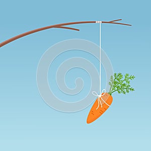 Carrot hanging on fishing stick
