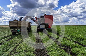 Carrot Harvester Unloading On The Go into a Tractor Trailer photo