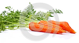 Carrot. Healthy lifestile. Green concept