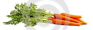 Carrot. Healthy lifestile. Green concept