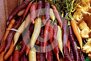 Carrot Heirloom Blood Red Vegetables