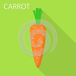 Carrot icon, flat style