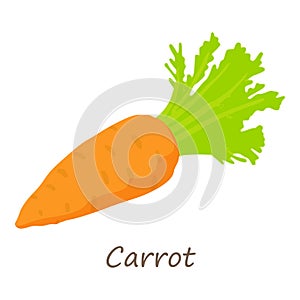Carrot icon, isometric style