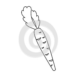 Carrot icon outline. Singe vegetables icon from the eco food outline.