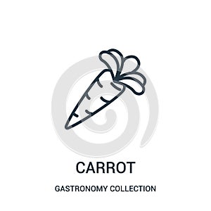 carrot icon vector from gastronomy collection collection. Thin line carrot outline icon vector illustration