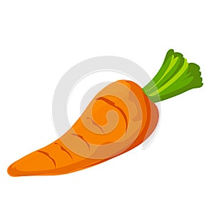Carrot icon. Vector illustration