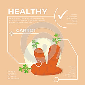 Carrot infographic vector Design, fresh vegetable