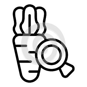 Carrot inspection icon outline vector. Food safety