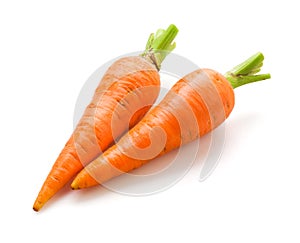 Carrot isolated