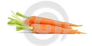Carrot isolated on the white background