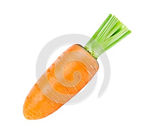 Carrot isolated on white background. Fresh ripe vegetables