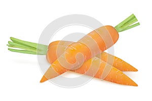 Carrot on an isolated white background. Three carrots