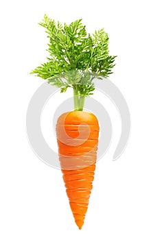 Carrot isolated on white photo