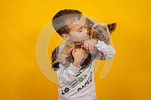 Carrot lies on a black backgroundLittle boy with dog Yorkshire terrier on a yellow background