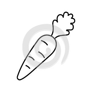 Carrot Line Vector Icon which can easily modify