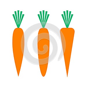 Carrot, minimalist icon on white background. vector