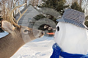 snowman and big buck deer