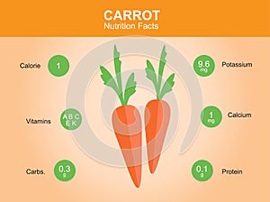 Carrot nutrition facts, carrot with information, carrot vector