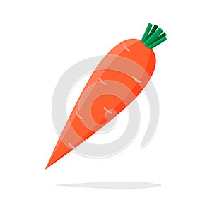 Carrot orange vector illustration