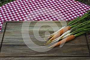 Carrot and parsley on wooden board. Perspective view.