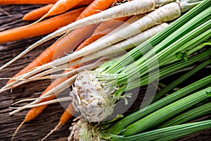 Carrot parsnip celery. Celery carrot and parsnip on rustic oak table