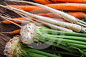 Carrot parsnip celery. Celery carrot and parsnip on rustic oak table