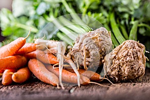 Carrot parsnip celery. Celery carrot and parsnip on rustic oak table