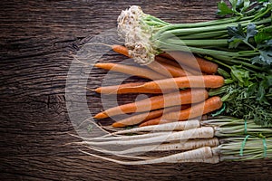 Carrot parsnip celery. Celery carrot and parsnip on rustic oak table