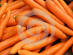 Carrot pile photo