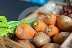 Carrot and Potato in wood box with studiolight