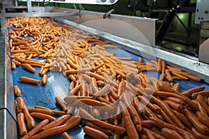 Carrot Processing Line