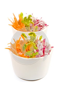 Carrot and radish salad