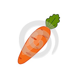 Carrot. Ripe orange carrots. Vegetable garden. Vegetarian product. Vector illustration isolated on a white background