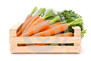 Carrot roots (Daucus carota ssp. sativus) in wooden crate