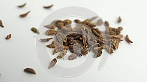 Carrot seeds rotate on a white background.