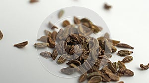 Carrot seeds rotate on a white background.