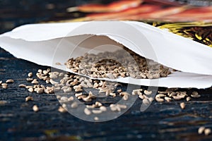 Carrot Seeds Spilled from a Seed Packet