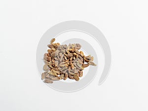 Carrot seeds on a white background.