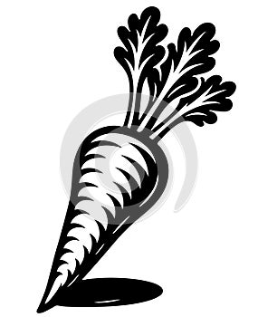 A carrot is shown in a black and white drawing