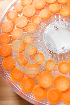 Carrot slices in the dehydrator