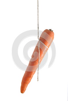 Carrot on some string