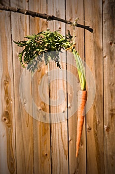 Carrot on a stick