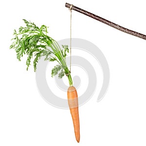 Carrot on a stick