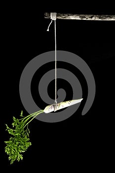 Carrot on a stick