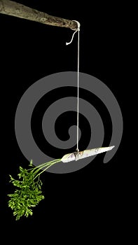 Carrot on a stick