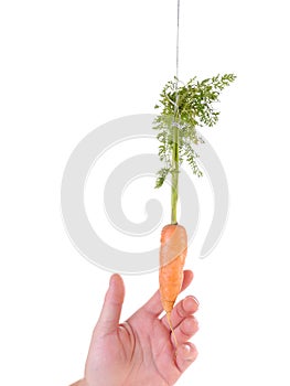 Carrot and stick approach photo