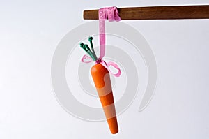 Carrot or stick approach idiom photo