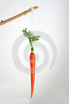 Carrot on a stick incentive