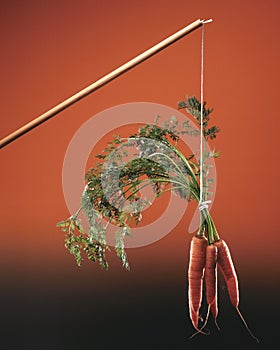 Carrot and stick - a metaphor for a method of persuasion photo